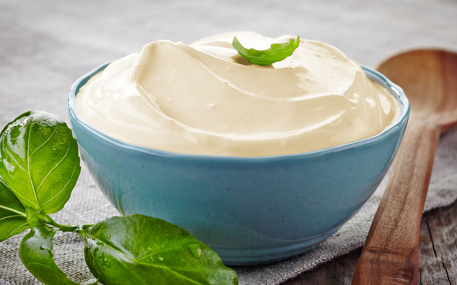 Noosh greek yogurt dip