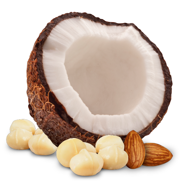 Noosh macadamia butter coconut Noosh macadamia butter coconut