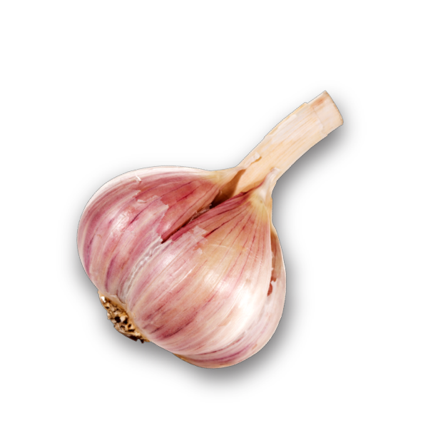 Noosh Almond Oil Spray Roasted Garlic Noosh Almond Oil Spray Roasted Garlic